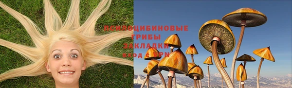 прущий лед Липки