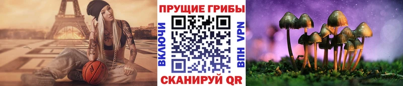 Галлюциногенные грибы Magic Shrooms  Ступино 