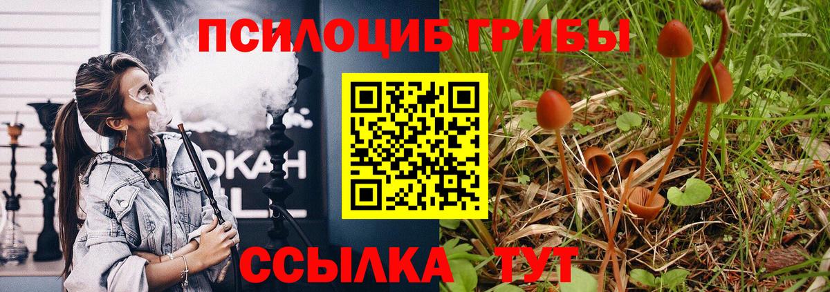 Псилоцибиновые грибы мицелий Ступино