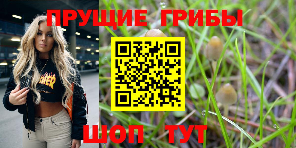 Галлюциногенные грибы Magic Shrooms  наркошоп  Ступино  Вход с VPN  Псилоцибиновые грибы мухоморы 