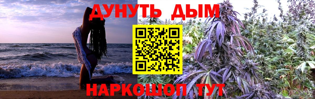 Бошки Шишки планчик Ступино